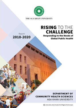 Rising to the Challenge: Responding to the Needs of Global Public Health
