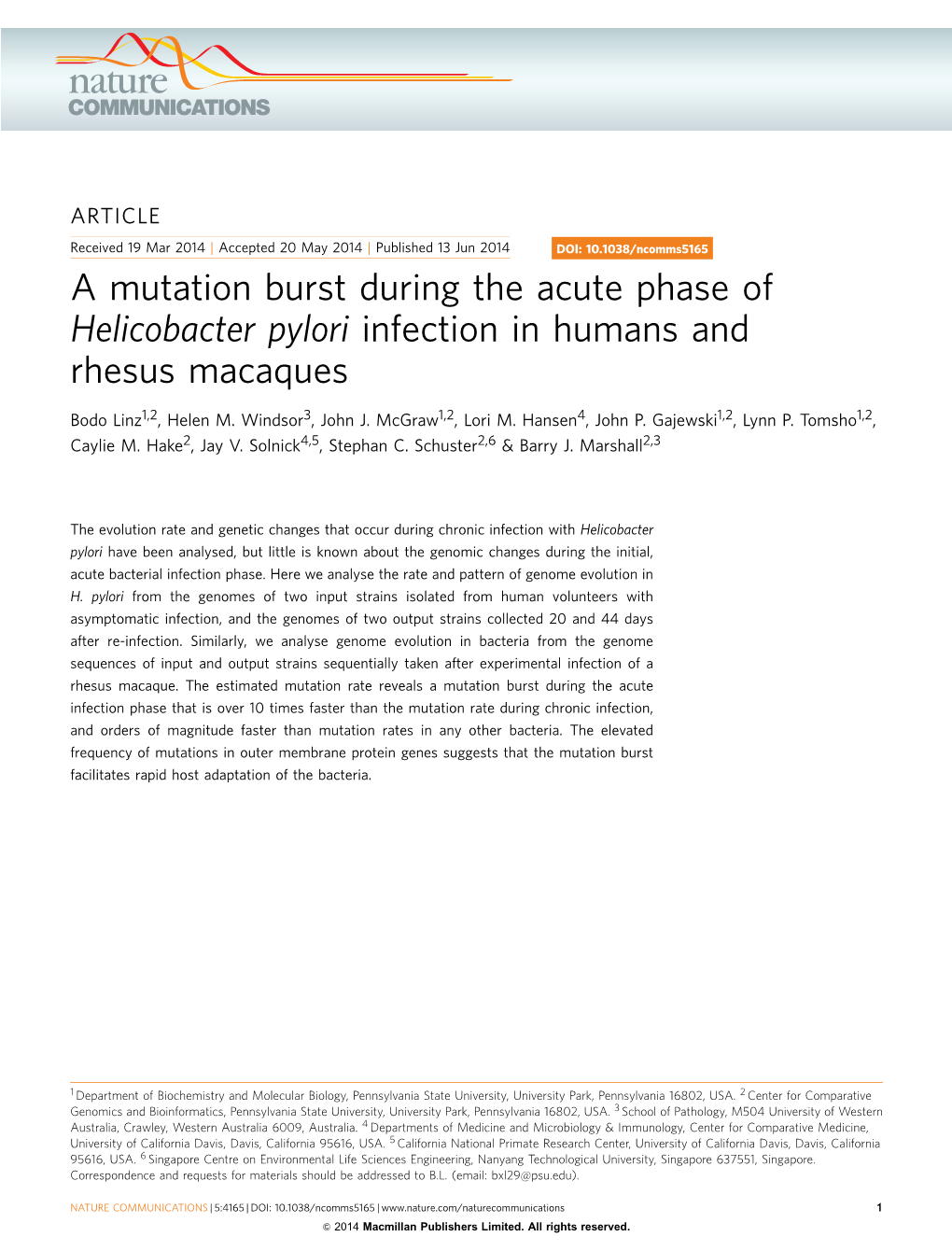 Helicobacter Pylori Infection in Humans and Rhesus Macaques