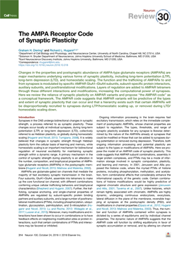 The AMPA Receptor Code of Synaptic Plasticity