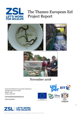 The Thames European Eel Project Report