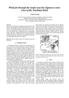 Case of the Tsushima Strait