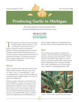 Producing Garlic in Michigan