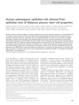 Human Odontogenic Epithelial Cells Derived from Epithelial Rests Of