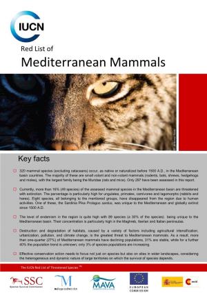 Mediterranean Mammals