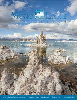 Summer 2021 Mono Lake Newsletter