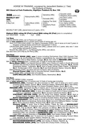 HORSE in TRAINING, Consigned by Jamesfield Stables (J. Tate) the Property of Darley Will Stand at Park Paddocks, Highflyer Paddock N, Box 199