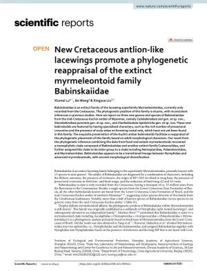 New Cretaceous Antlion-Like Lacewings Promote a Phylogenetic Reappraisal of the Extinct Myrmeleontoid Family Babinskaiidae