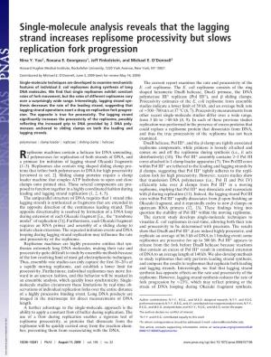 Single-Molecule Analysis Reveals That the Lagging Strand Increases Replisome Processivity but Slows Replication Fork Progression