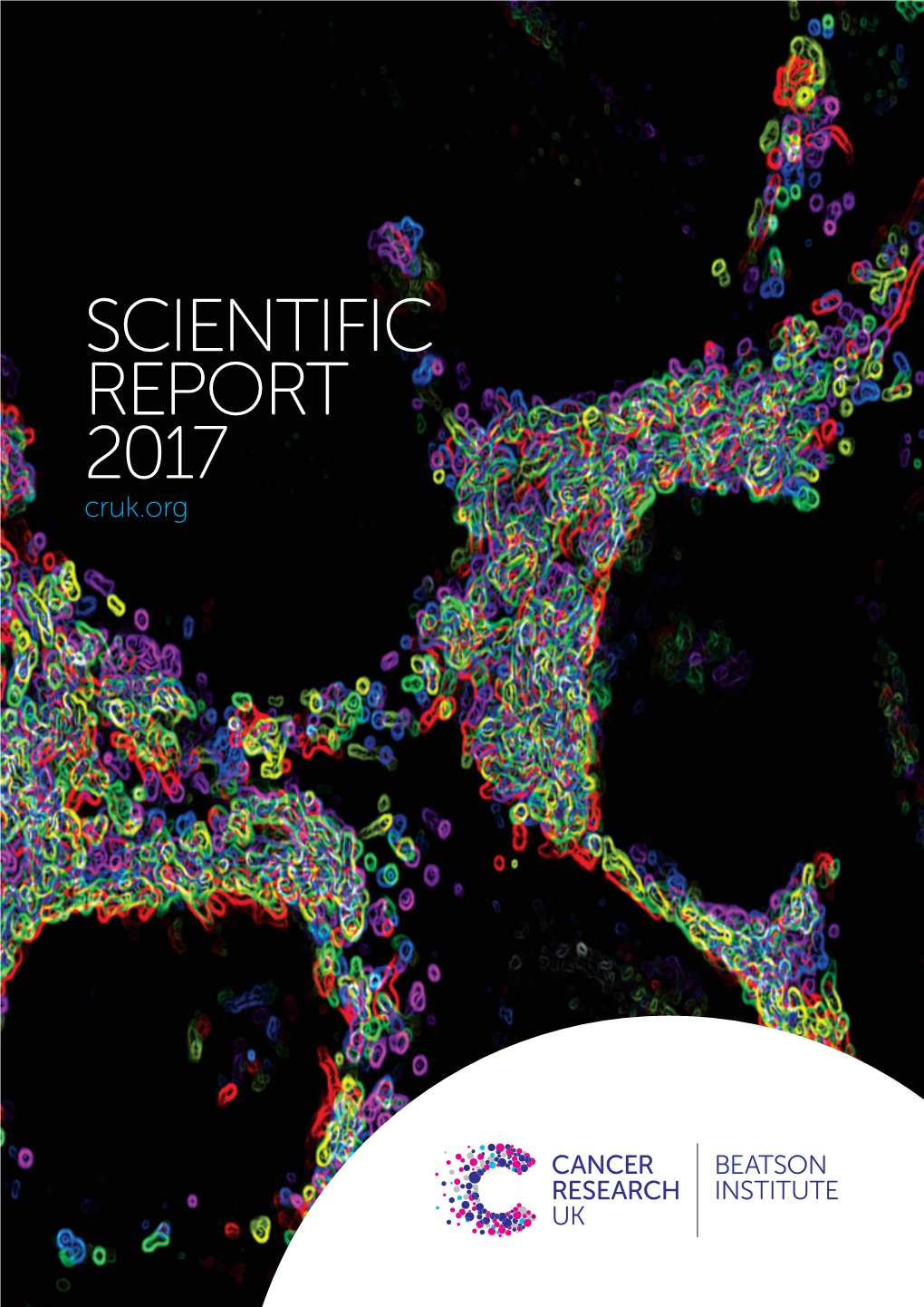 SCIENTIFIC REPORT 2017 Cruk.Org SCIENTIFIC COVER IMAGE Mitochondria, the Powerhouses of the Cell, Are Required for Cancer Cell Death