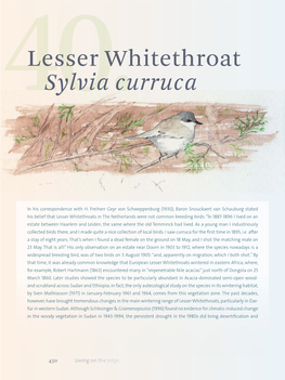 Lesser Whitethroat Sylvia Curruca