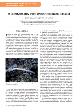The Unnatural History of Cave Olms Proteus Anguinus in England