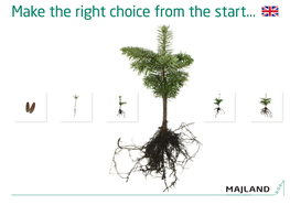 Make the Right Choice from the Start... Welcome at Majland A/S