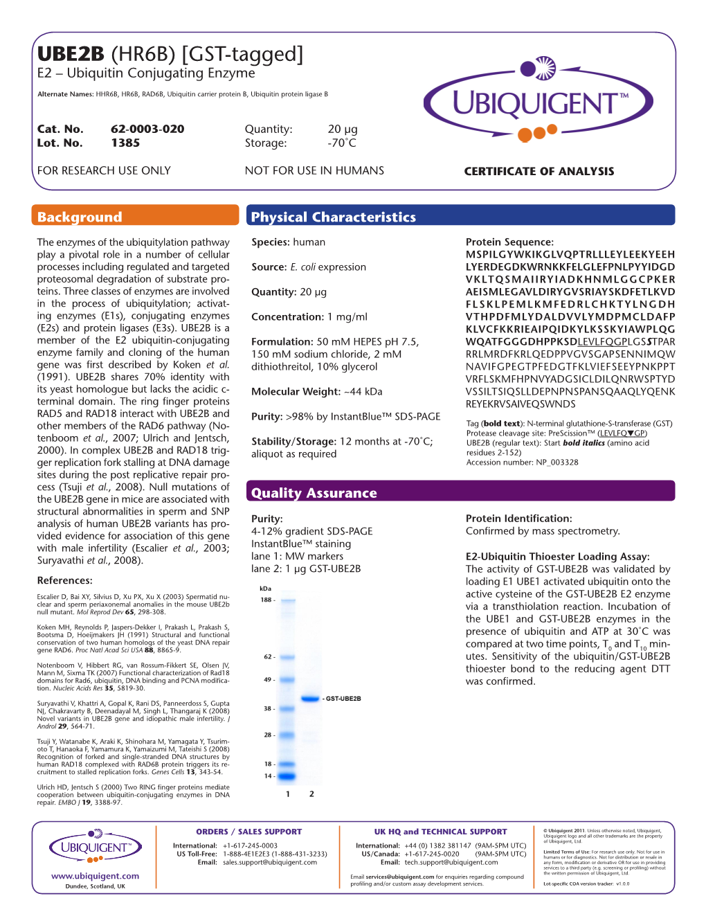 UBE2B (HR6B) [GST-Tagged] E2 – Ubiquitin Conjugating Enzyme