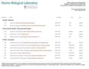 Marine Specimens Catalog (Updated 1/29/2021)