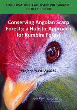 A Holistic Approach for Kumbira Forest
