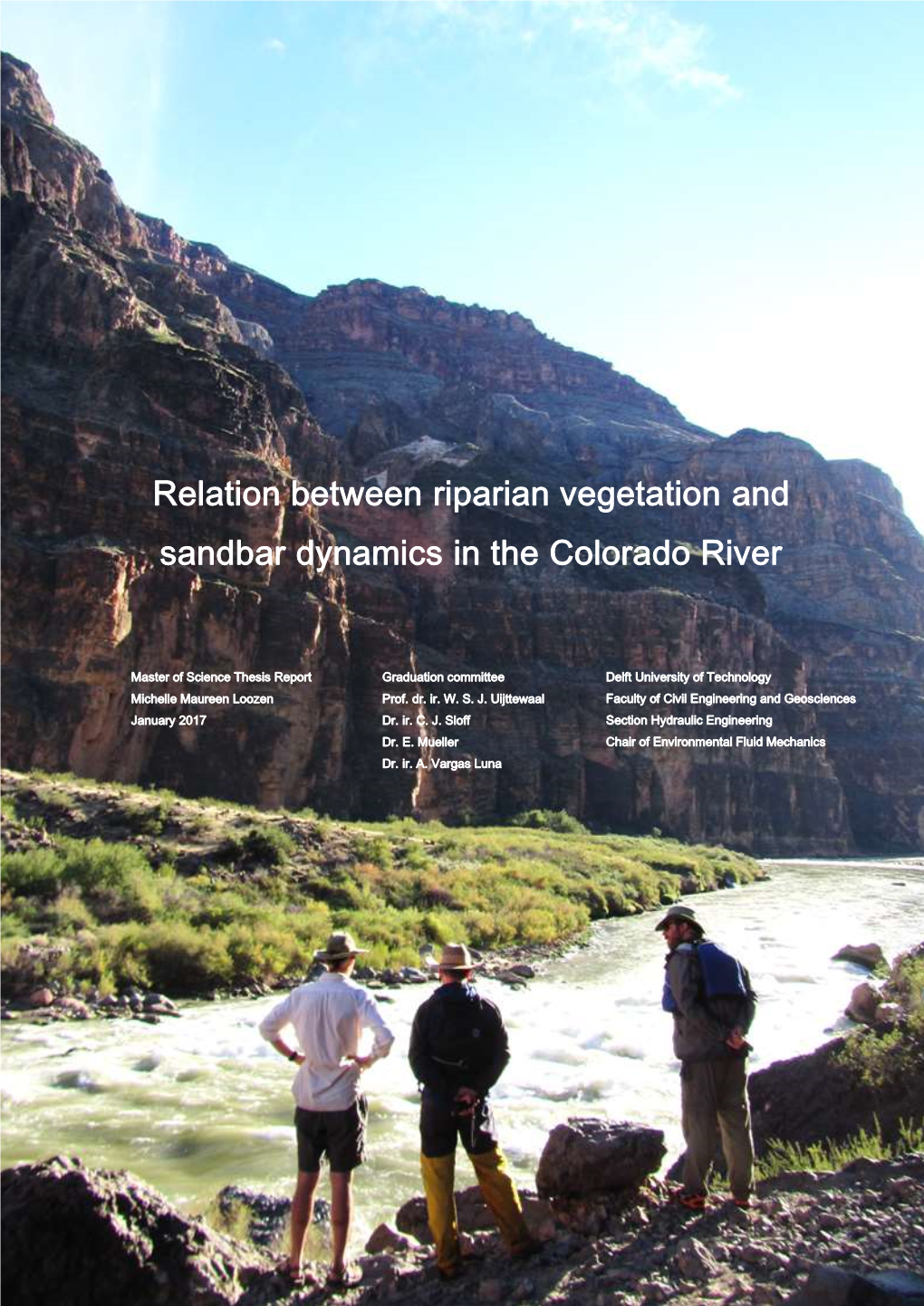 Relation Between Riparian Vegetation and Sandbar Dynamics in the Colorado River