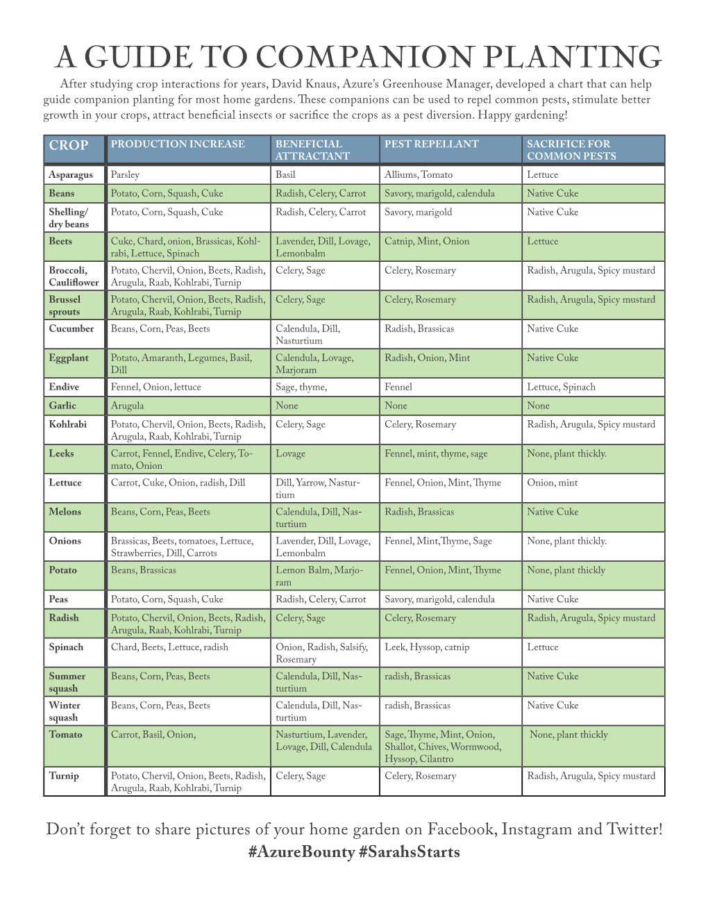 Guide Companion Planting for Most Home Gardens