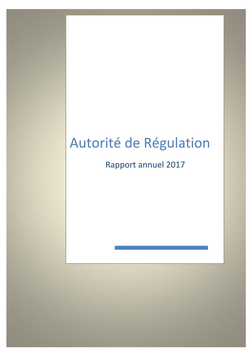 Rapport Annuel 2017