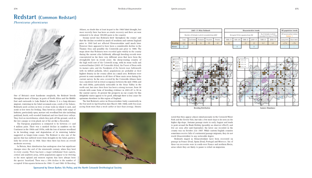 Common Redstart) Phoenicurus Phoenicurus