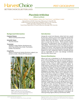 Puccinia Triticina (Wheat Leaf Rust) Yuan Chai1, Darren J