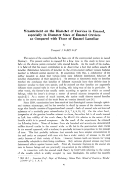 Measurement on the Diameter of Crevices in Enamel, Especially in Diameter Sizes of Enamel Crevices As Compared with Those of Enamel Lamellae