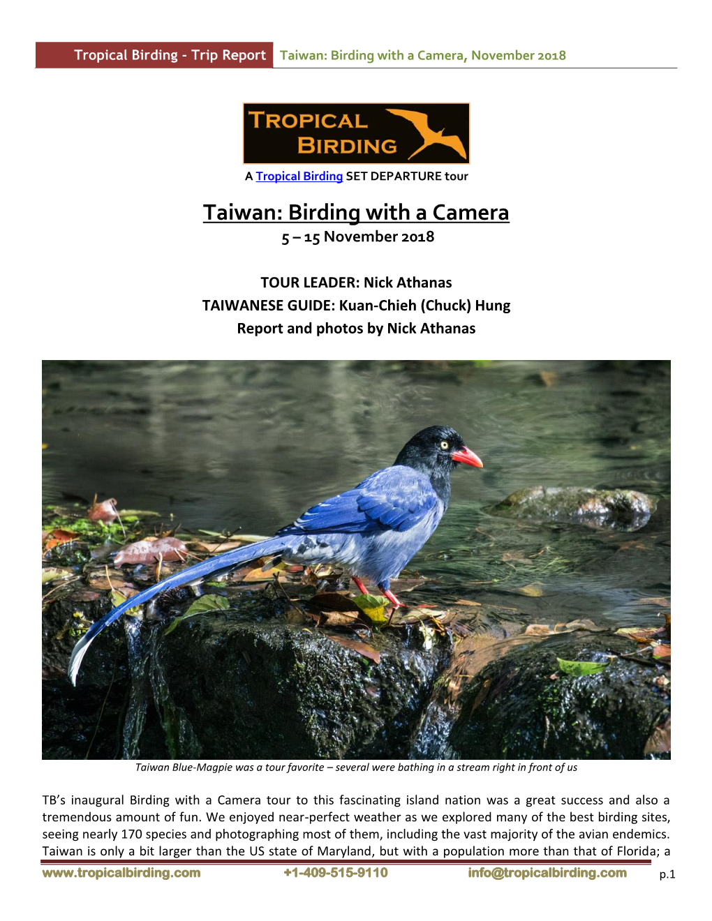 Taiwan: Birding with a Camera, November 2018