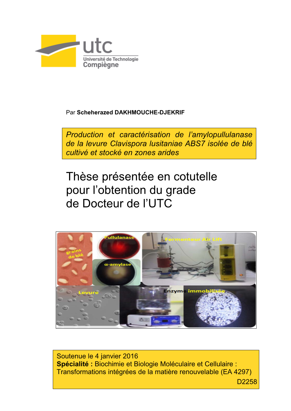 Production Et Caractérisation De L'amylopullulanase De La Levure Clavispora Lusitaniae ABS7 Isolée De Blé Cultivé Et Stocké En Zones Arides