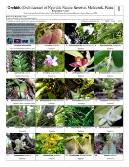 Orchids (Orchidaceae) of Ngardok Nature Reserve, Melekeok, Palau Benjamin J