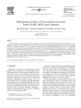 Phylogenetic Position of Protoopalina Intestinalis Based on SSU Rrna Gene Sequence