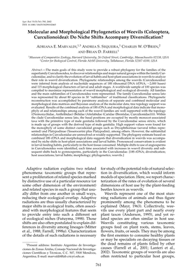 Coleoptera, Curculionoidea): Do Niche Shifts Accompany Diversiﬁcation?