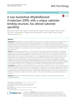 A New Buckwheat Dihydroflavonol 4-Reductase (DFR), with a Unique