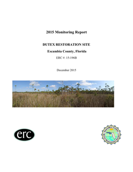 2015 Monitoring Report
