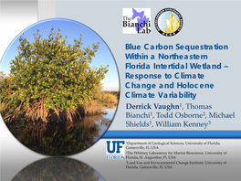 Blue Carbon Sequestration Within a Northeastern Florida Intertidal