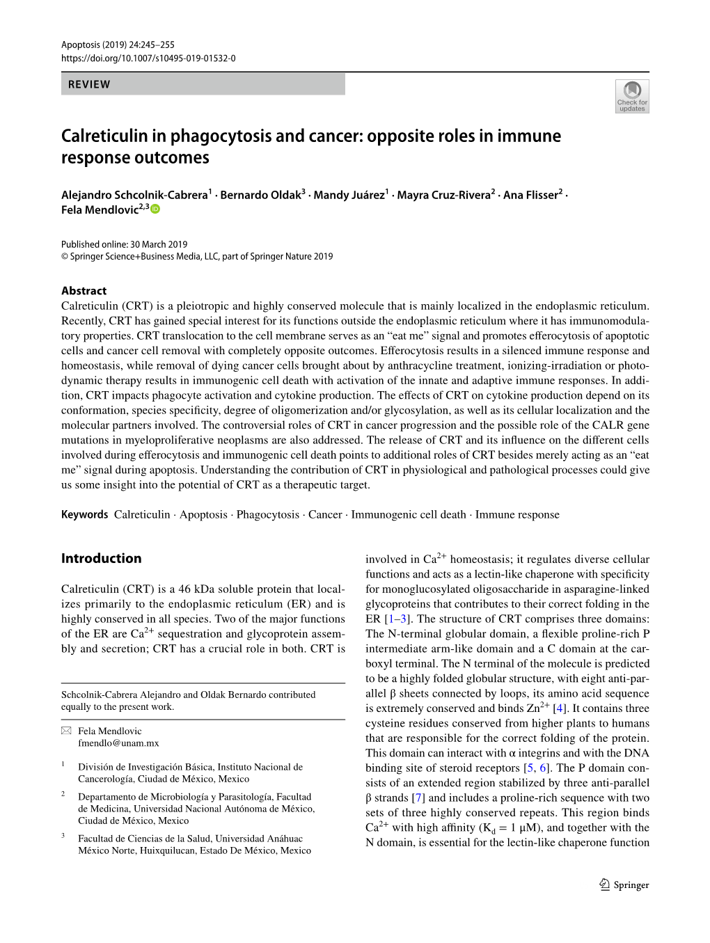 Calreticulin in Phagocytosis and Cancer: Opposite Roles in Immune Response Outcomes