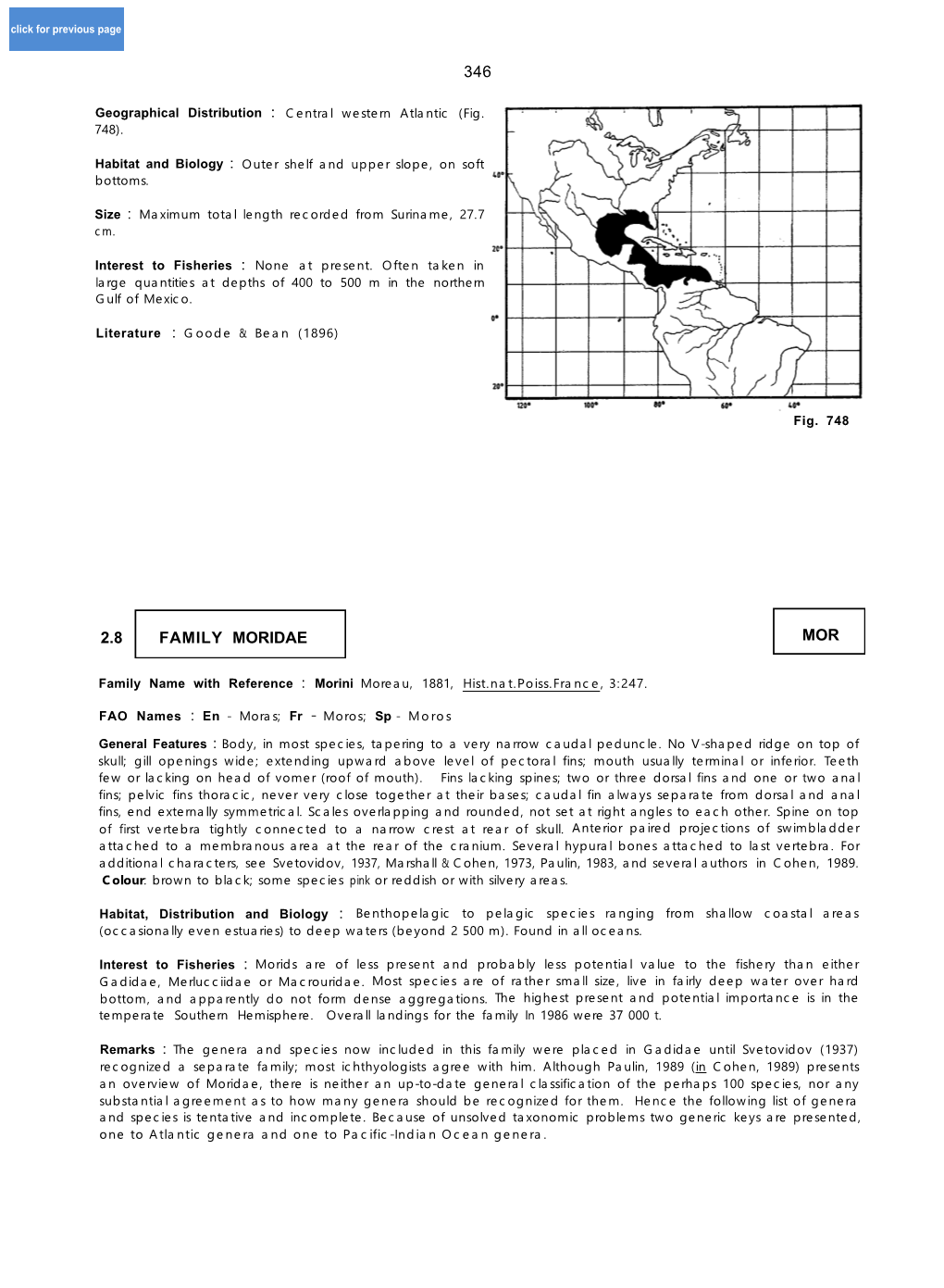 346 2.8 Family Moridae