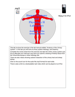 Human Anatomy and Physiology II Laboratory