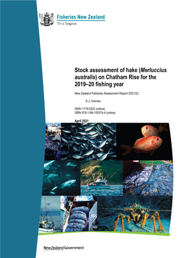 Stock Assessment of Hake (Merluccius Australis) on Chatham Rise for the 2019–20 Fishing Year