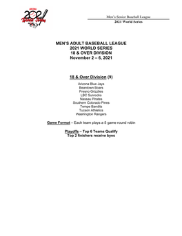 Men's Adult Baseball League