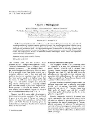 A Review of Plantago Plant