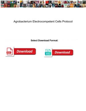 Agrobacterium Electrocompetent Cells Protocol