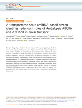 A Transportome-Scale Amirna-Based Screen Identifies Redundant Roles Of