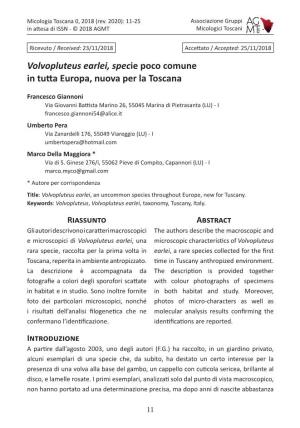 Volvopluteus Earlei, Specie Poco Comune in Tutta Europa, Nuova Per La Toscana