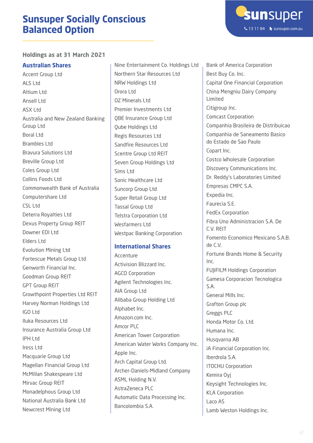 Socially Conscious Balanced Holdings