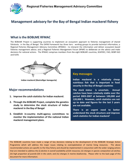 Management Advisory for the Bay of Bengal Indian Mackerel Fishery