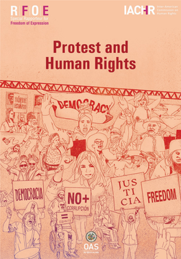 Protest and Human Rights Standards on the Rights Involved in Social Protest and the Obligations to Guide the Response of the State