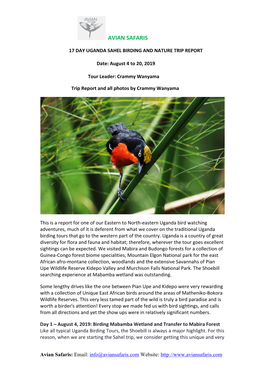 Kidepo-Uganda-Birding-Trip-Report