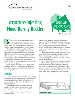 Structure-Infesting Wood-Boring Beetles John A