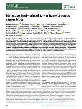 Molecular Landmarks of Tumor Hypoxia Across Cancer Types
