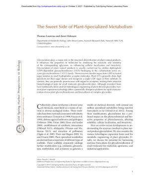 The Sweet Side of Plant-Specialized Metabolism