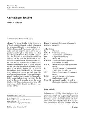Chromomeres Revisited